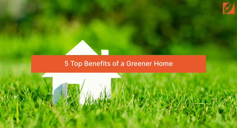 5 Top Benefits Of A Greener Home